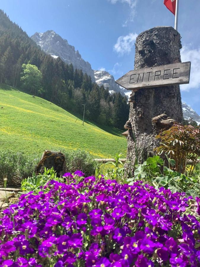 Guest House Du Grand Paradis - On Piste Champery Ngoại thất bức ảnh