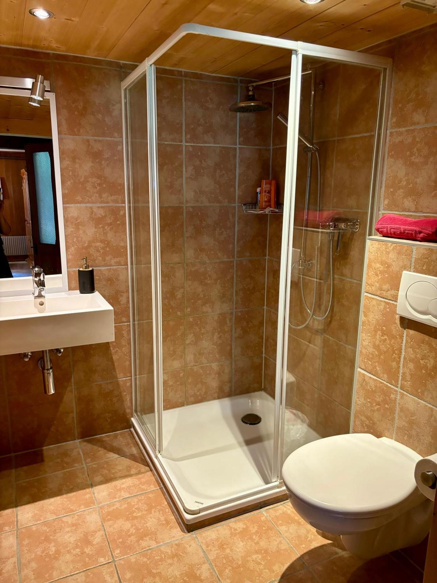 Guest House Du Grand Paradis - On Piste Champery Ngoại thất bức ảnh